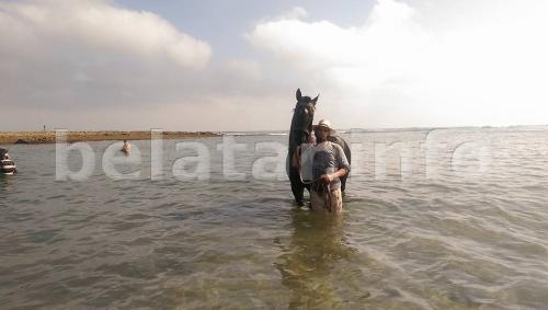 swimming with Hossam