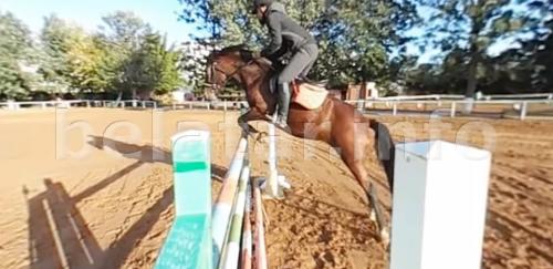 Jump with Marjana